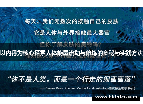 以内丹为核心探索人体能量流动与修炼的奥秘与实践方法