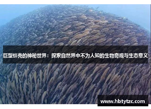 巨型蚌壳的神秘世界：探索自然界中不为人知的生物奇观与生态意义
