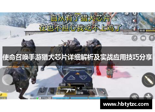 使命召唤手游猎犬芯片详细解析及实战应用技巧分享